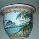 Hidden Chinese porcelain pot. Rose Family.