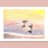 Brunswick Gulls - A4 - Bird SeaScape