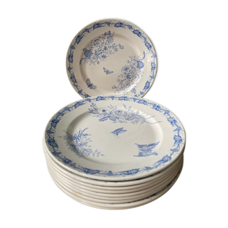 Series of 10 flat plates model "Papillon" FF Pexonne 1900