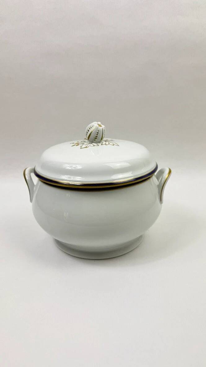 45-piece table service in Limoges porcelain by Chastagner, blue and gold.