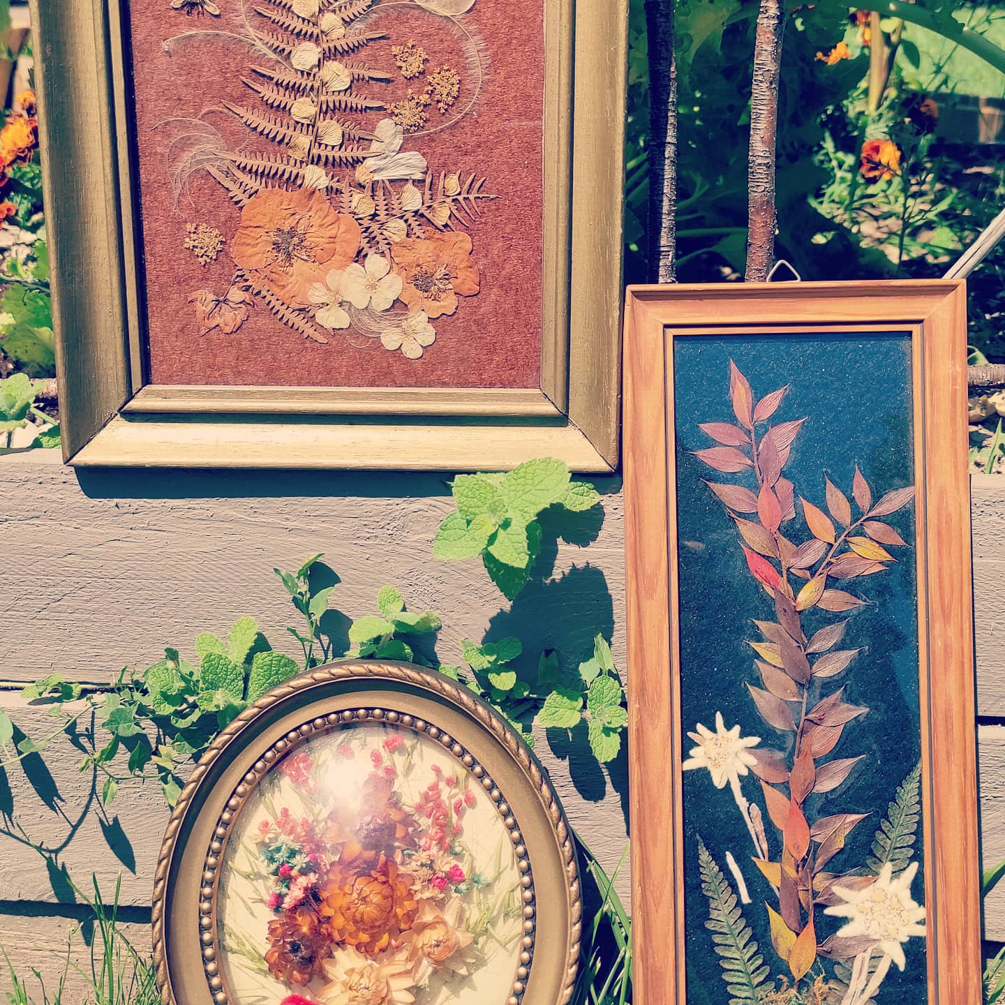 Cadre vintage fleurs séchées
