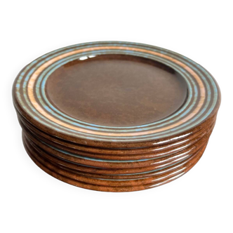 8 Sadler England ceramic dinner plates