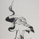 Mokuchu URUSHIBARA: Japanese print, The White Herons, Woodblock print