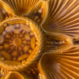 10 colorful oyster plates