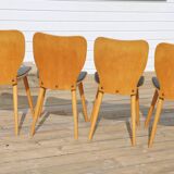 4 BAUMANN chairs 800G Max Bill 1955