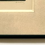 Oil painting & mixed techniques on framed canvas & signed by the artist.