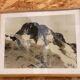 Photographic reproduction Tairraz – Framed alpine landscape
