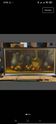 Panoramic painting, oil on canvas "Still Life in Chiaroscuro"