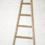 Old wooden ladder