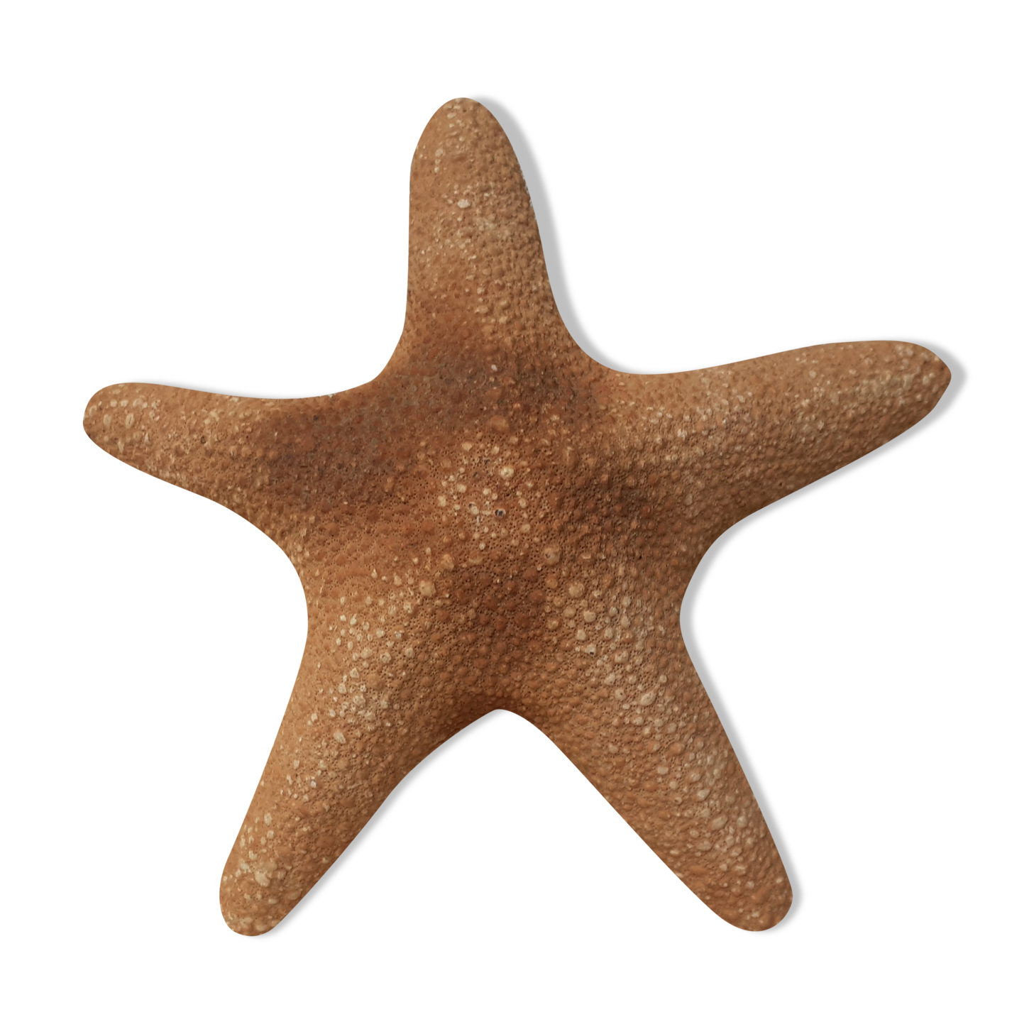 Starfish