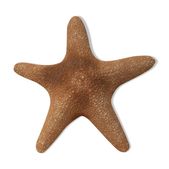 Starfish