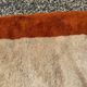 Terracotta and beige Moroccan Mrirt rug 340x230 cm – framed pattern