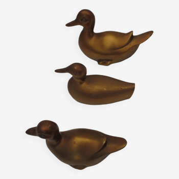 Trio of ducks in solid gilded brass