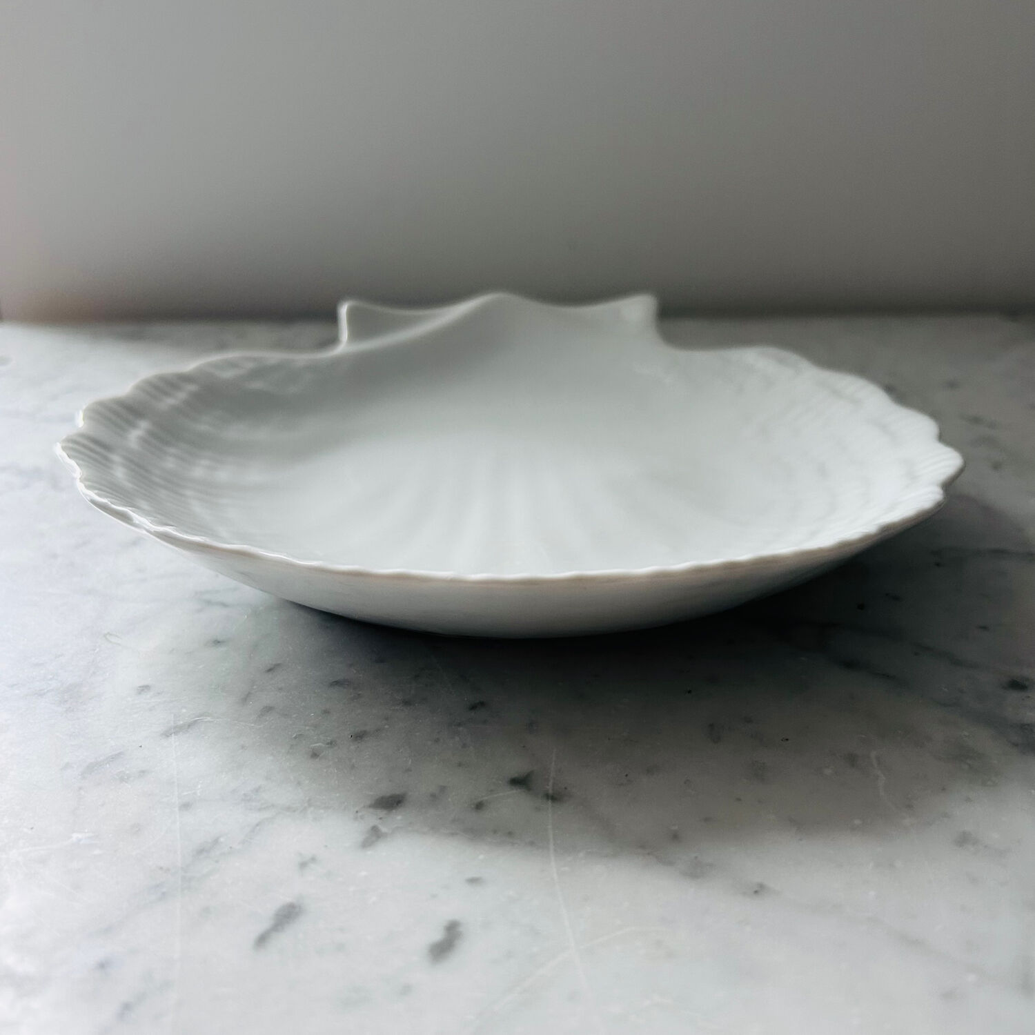 Porcelain shell plate