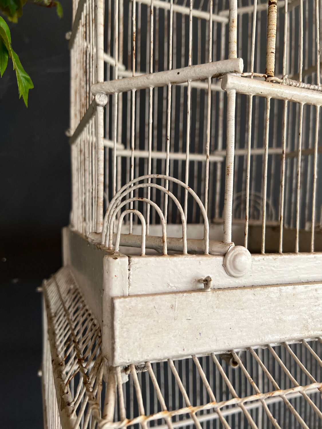 Large old cage napoleon 3