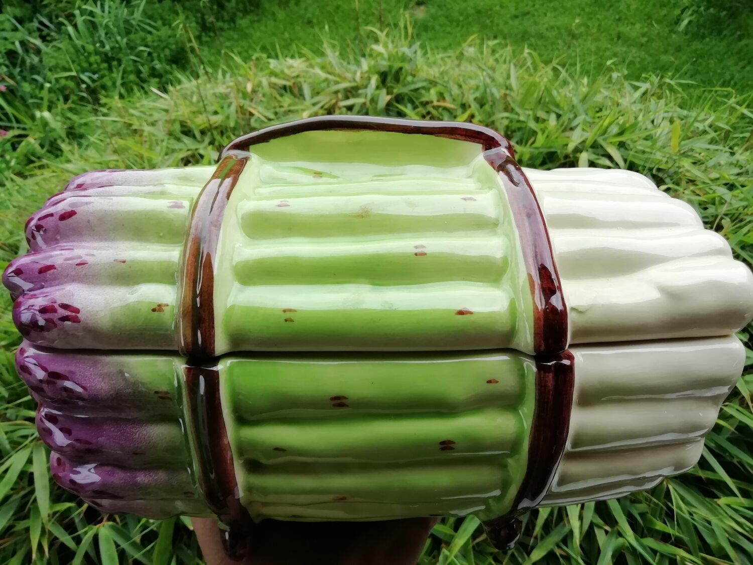 Asparagus barbotine dish