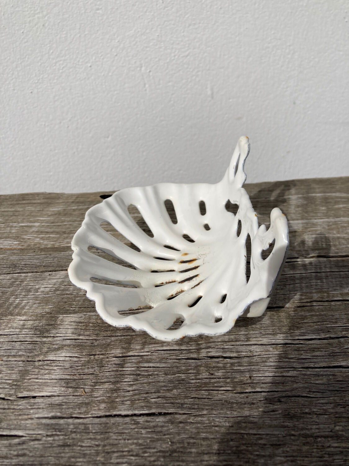 Old shell soap dish in white enamelled cast iron