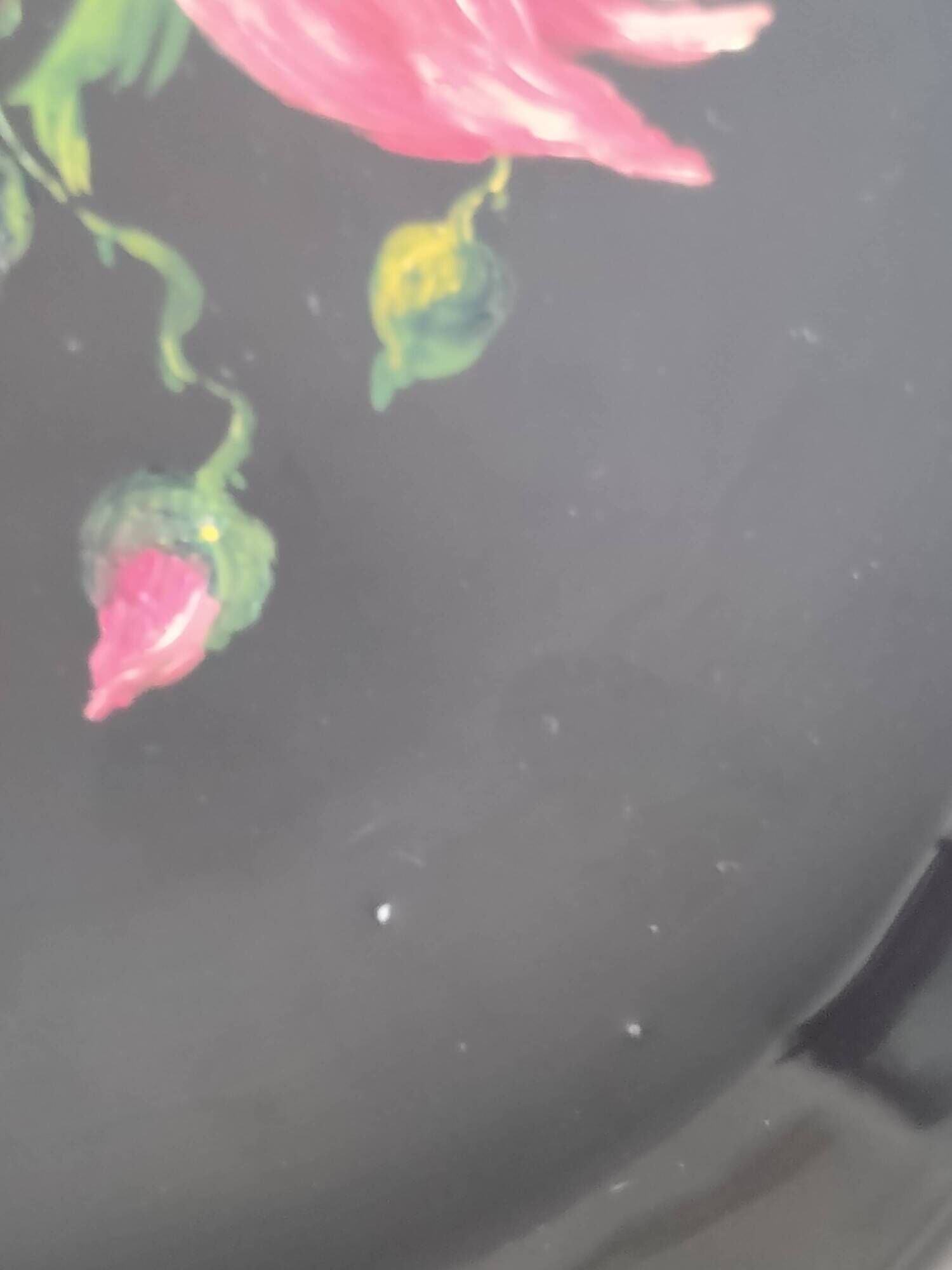 Authentic Longwy dish Black enamels poppy decoration Louis Valenti 1960