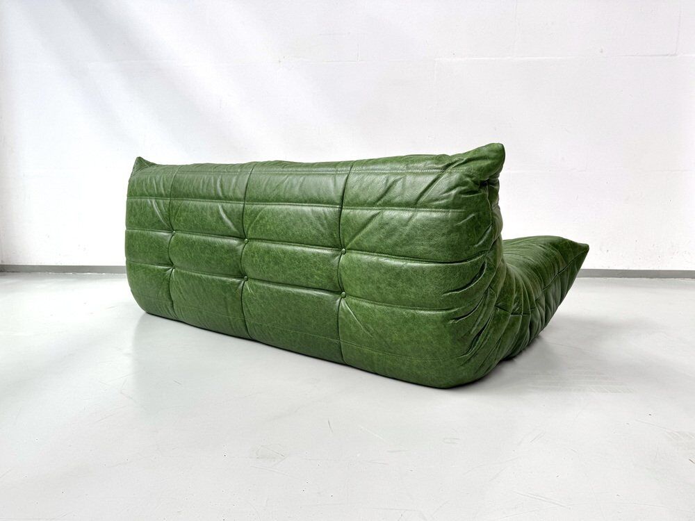 Togo 3-Sofa in Green leather attributed to Michel Ducaroy for Ligne Roset