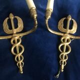 Pair of bronze appliques period empire