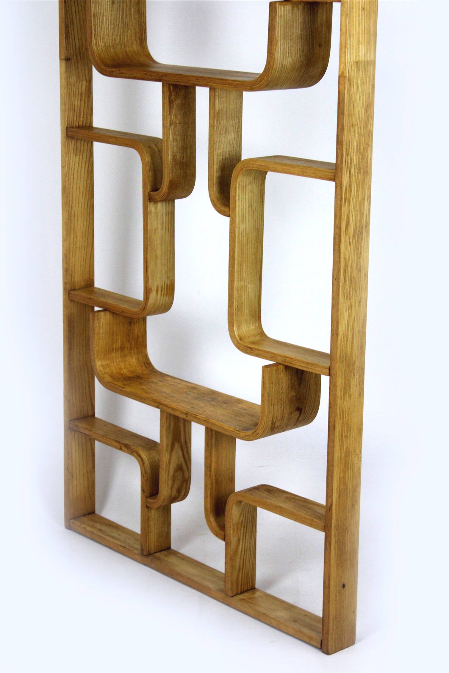 Mid-Century Modern Room Divider by L. Volak for Drevopodnik Holesov, 1960s