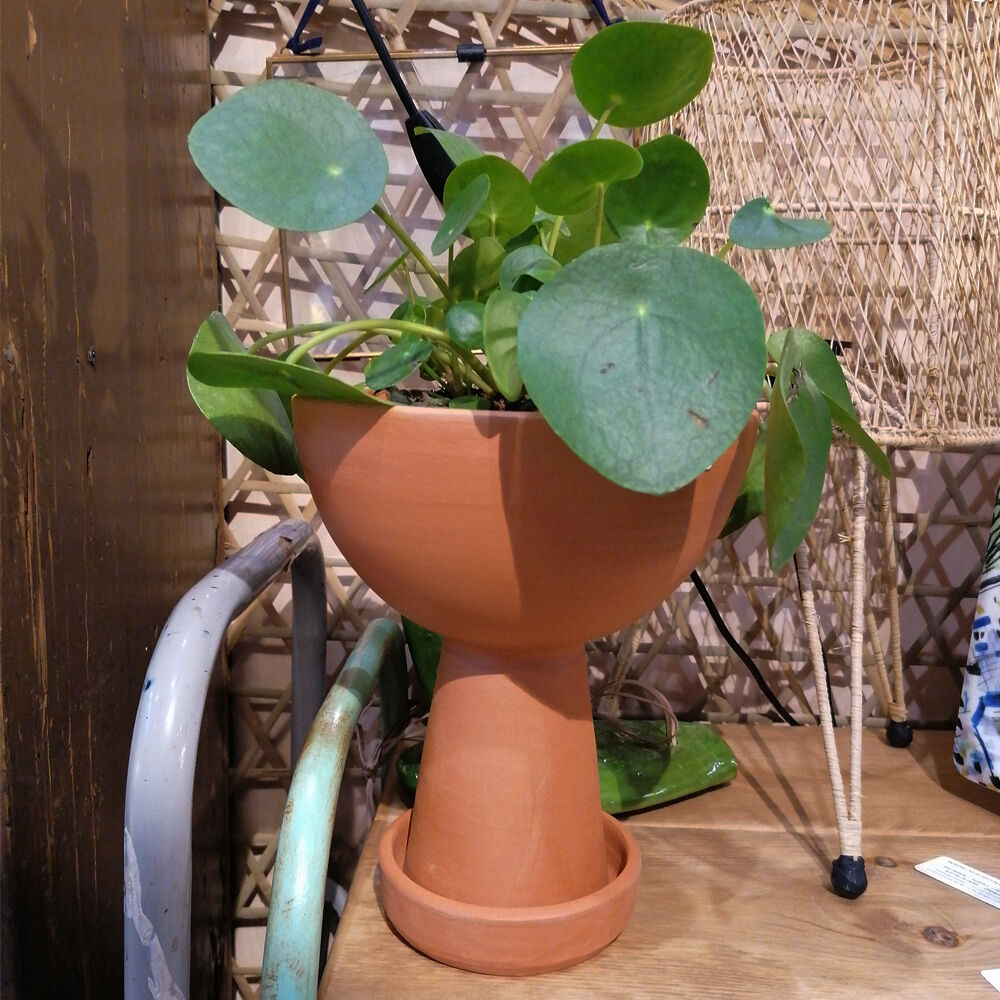 Terracotta planter with saucer