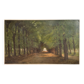 Horse rider's path on the property