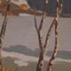 « Bouleaux au bord du lac » par Ragnar Lindström
