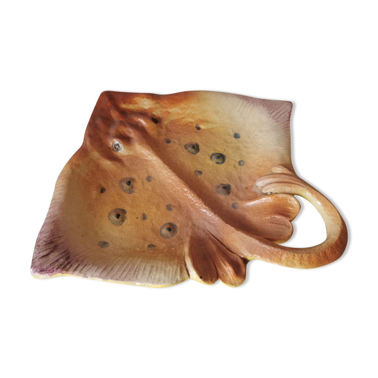 Zoomorphic dish ray
