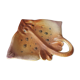 Zoomorphic dish ray