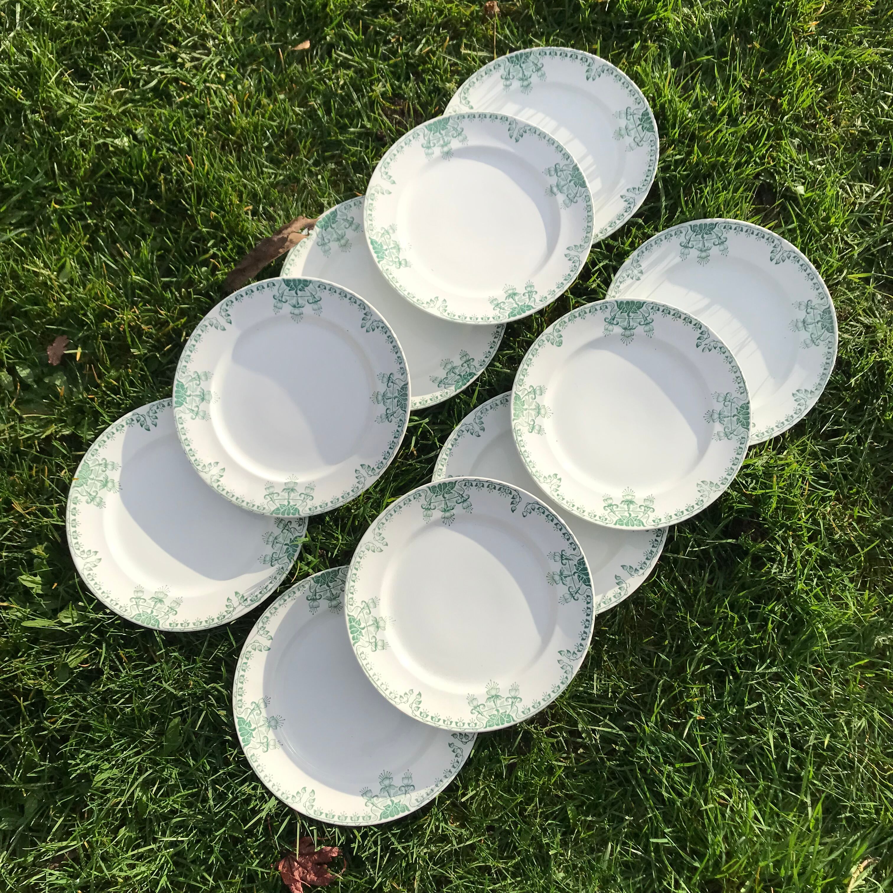 Set of 10 vintage plates iron model Fushia / Onnaing