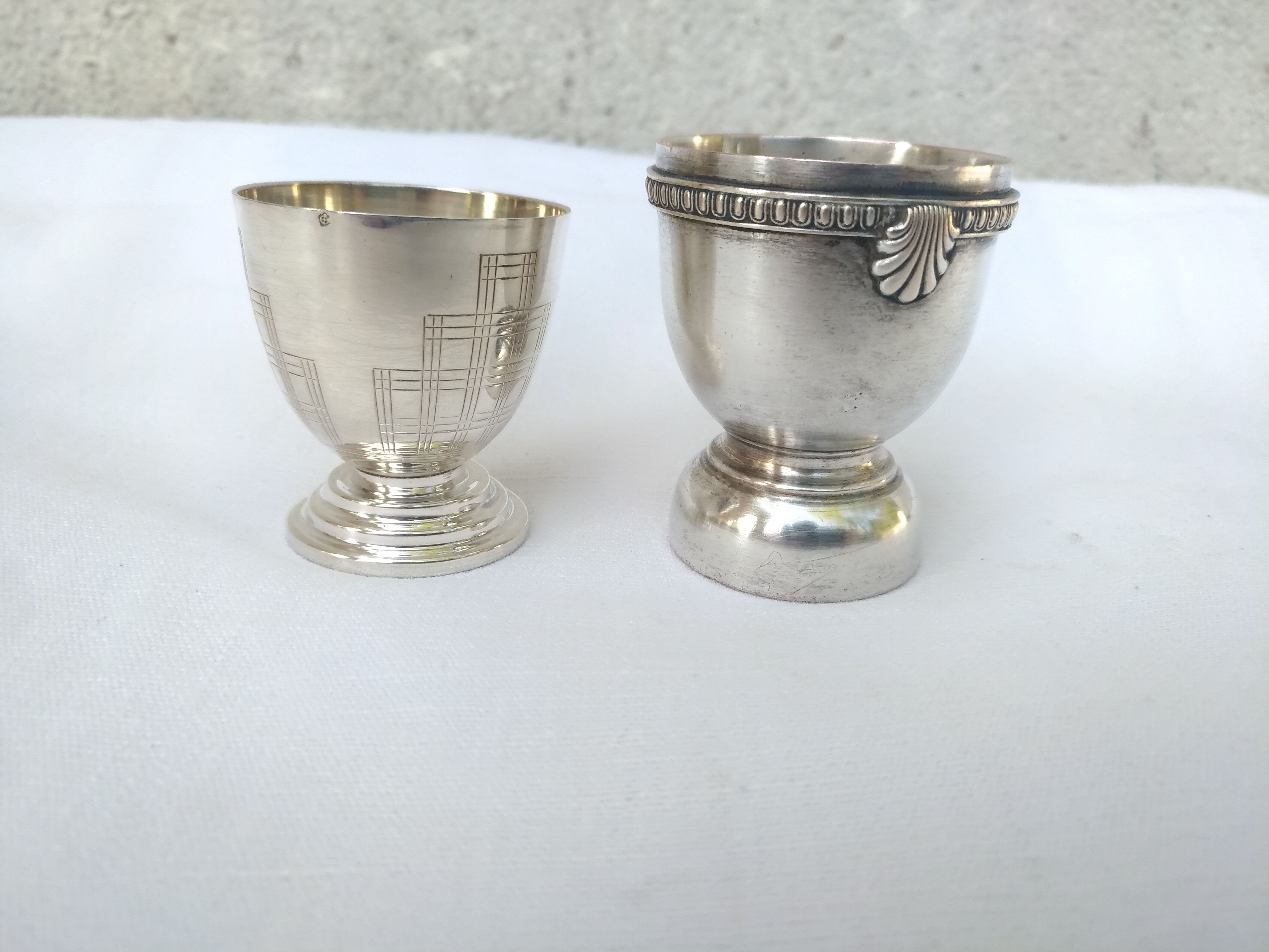 Silver metal cockroaches