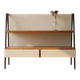 Fully renovated mid century bookshelf by Tatra, 1960s, Czechoslovakia