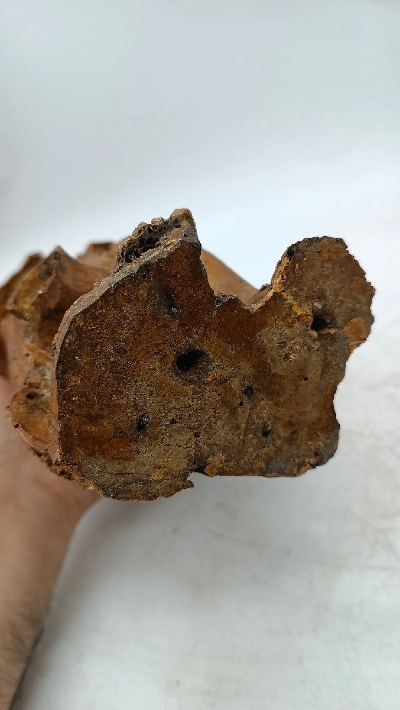 Pair of Tuscan giltwood angel sculptures, late 17th century