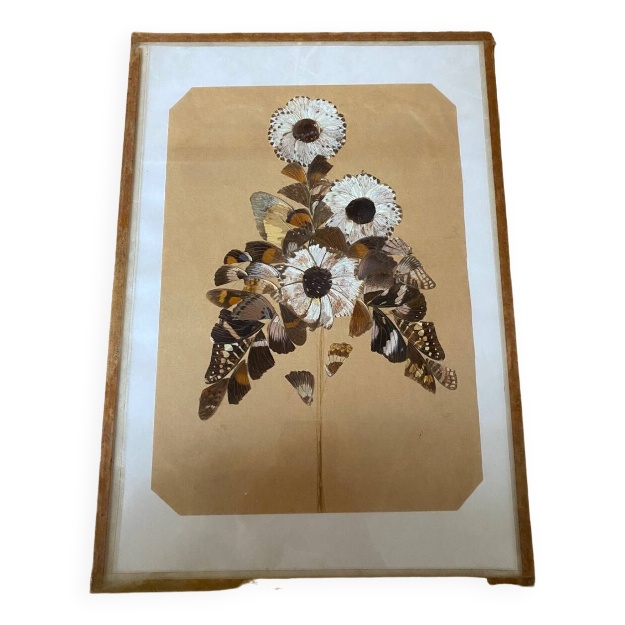 Butterfly wings frame