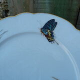 Set of 2 haviland plates for pannier lahoche l'escalier de cristal paris 1860