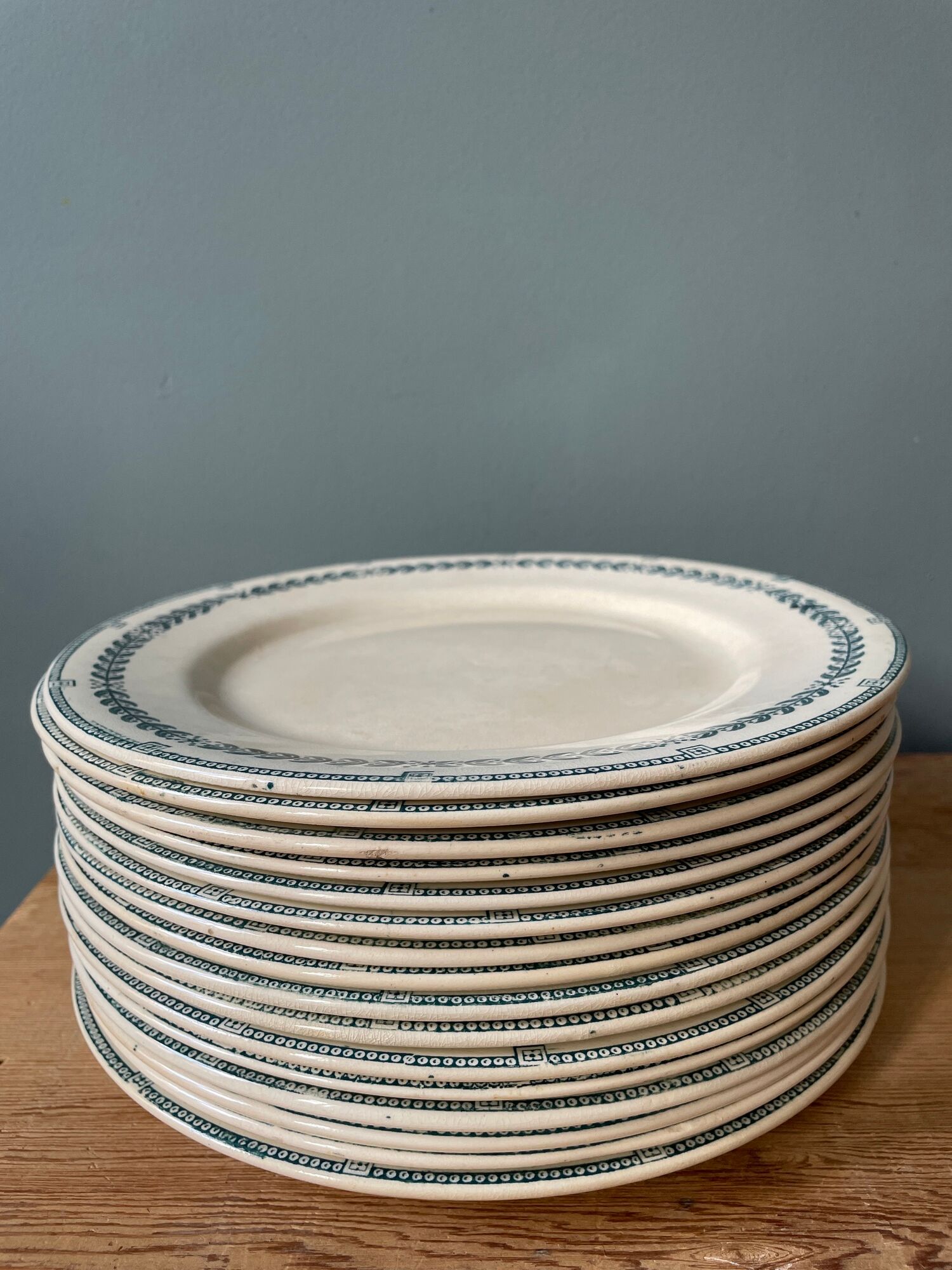 Set of 16 flat plates Terre de Fer, Service Condé Salins