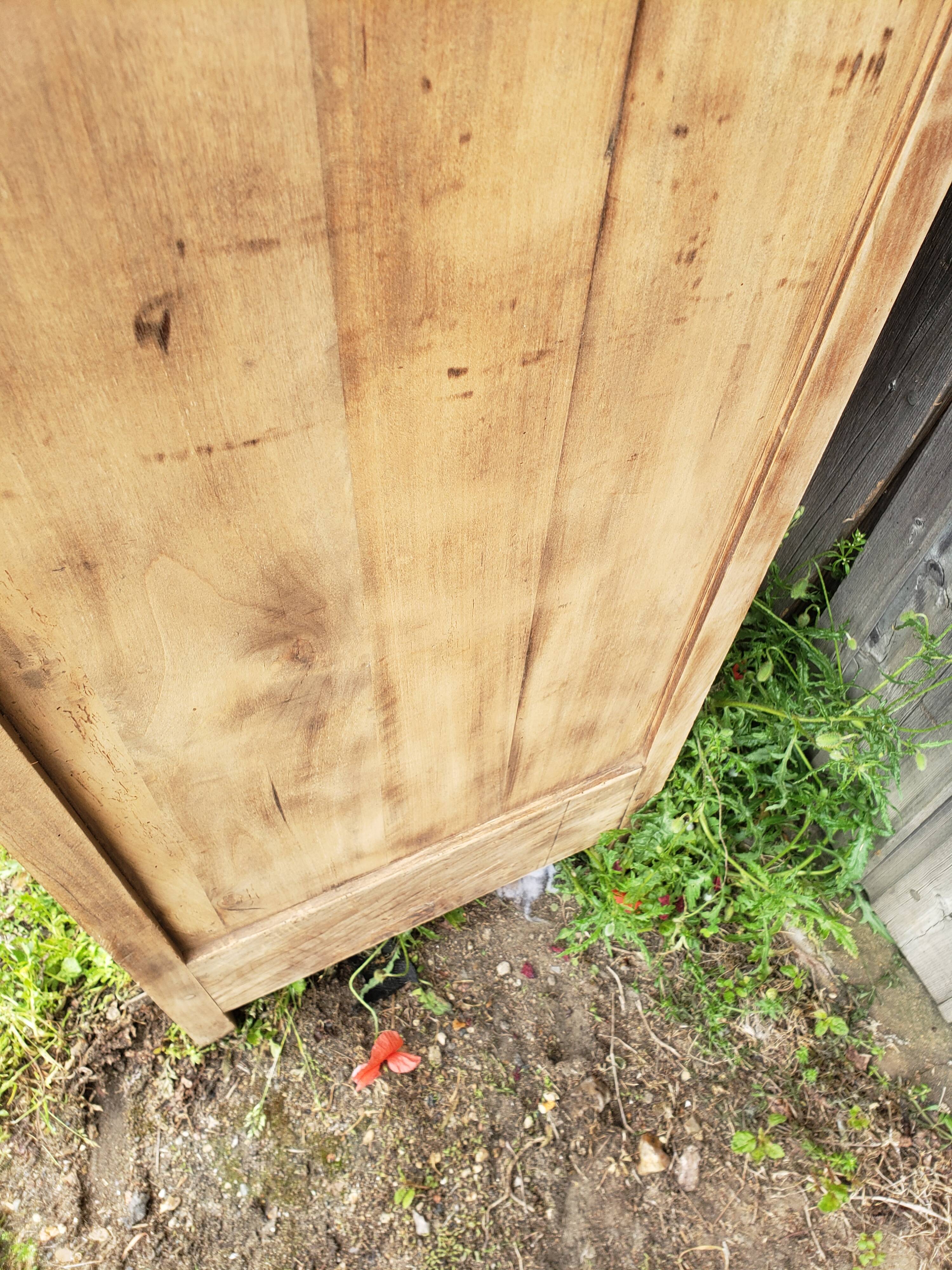 Parisian wardrobe wood in the rough "skirts"