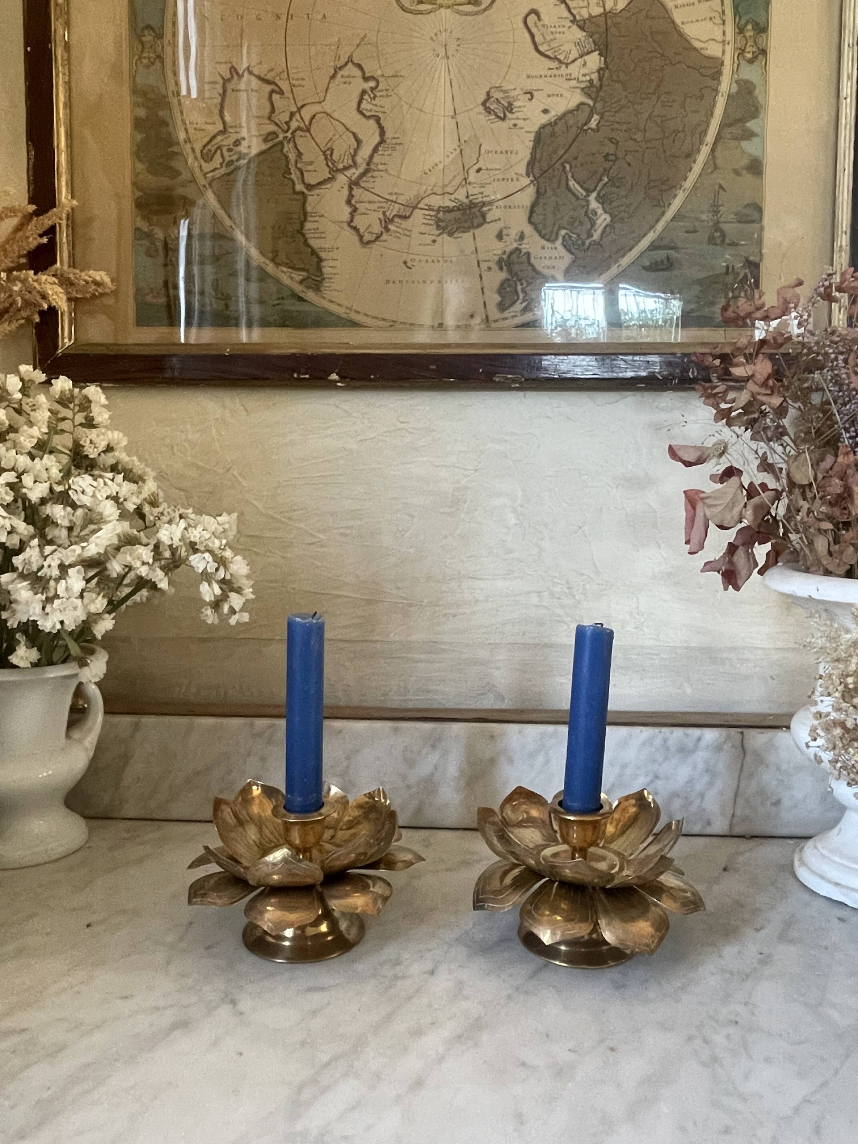Lotus brass candlestick pair