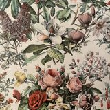 Lithograph engraving flowers of 1897