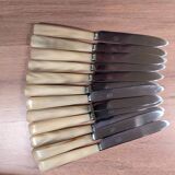 Set of 25 horn and stainless steel knives