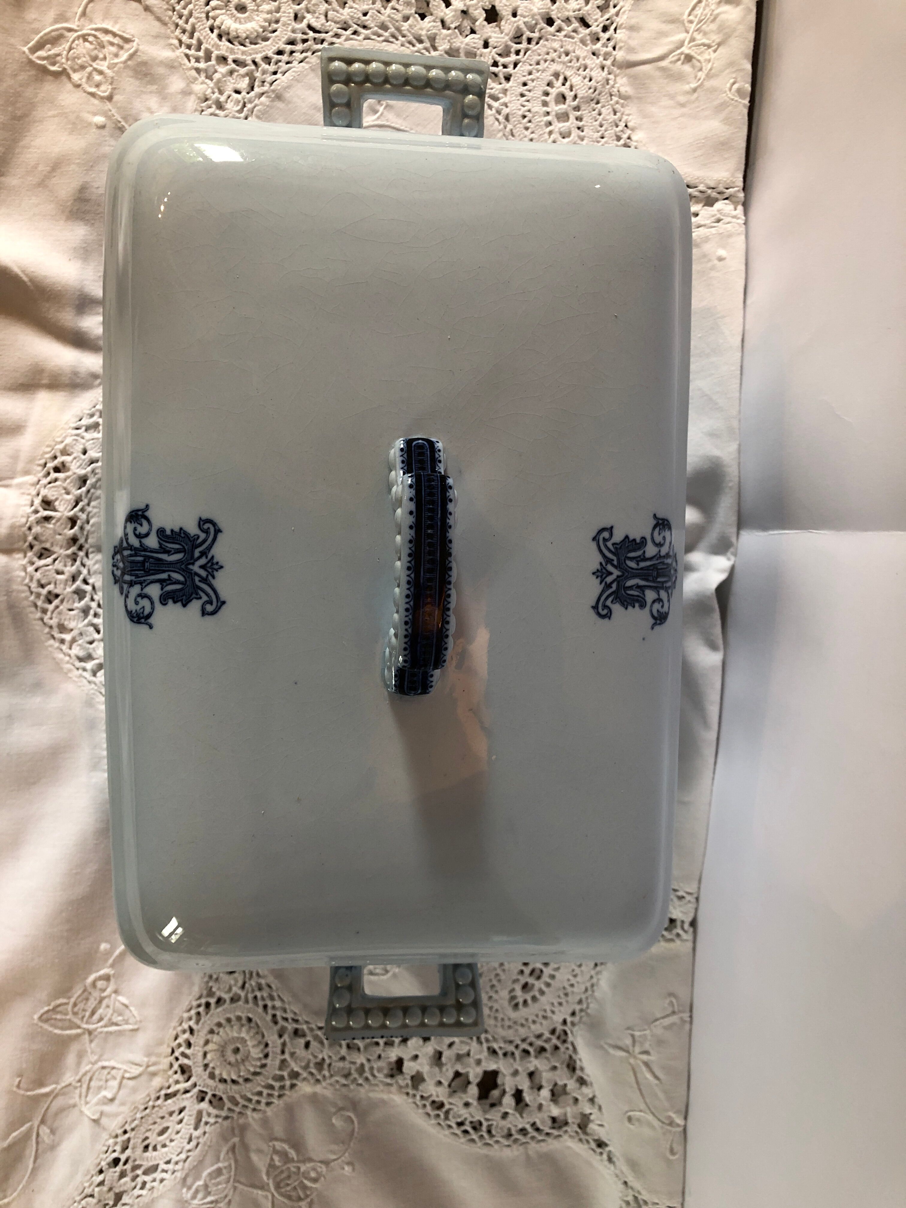 Blue vegetable in iron Earth