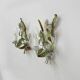 Set of 2 Italian tole painted floral and leaf wall lamp sconces, 1970s