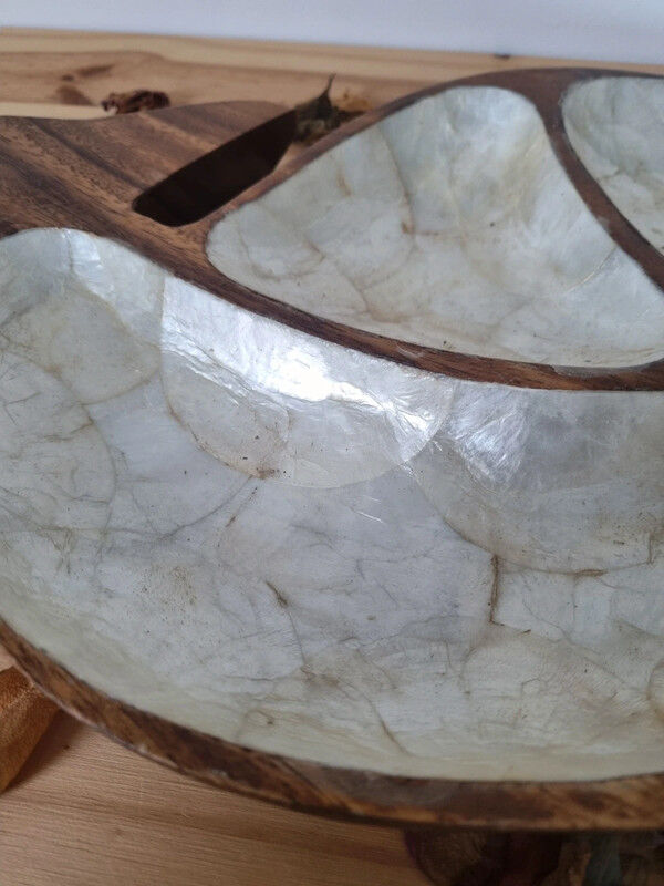 Empty wooden and mother-of-pearl whale pocket display