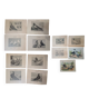 Suite de 11lLithographies ornithologiques XIXème - Races de Pigeons