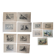 Suite de 11lLithographies ornithologiques XIXème - Races de Pigeons