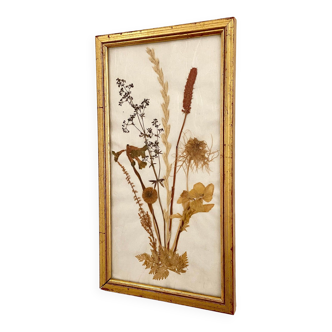 Dried flowers frame