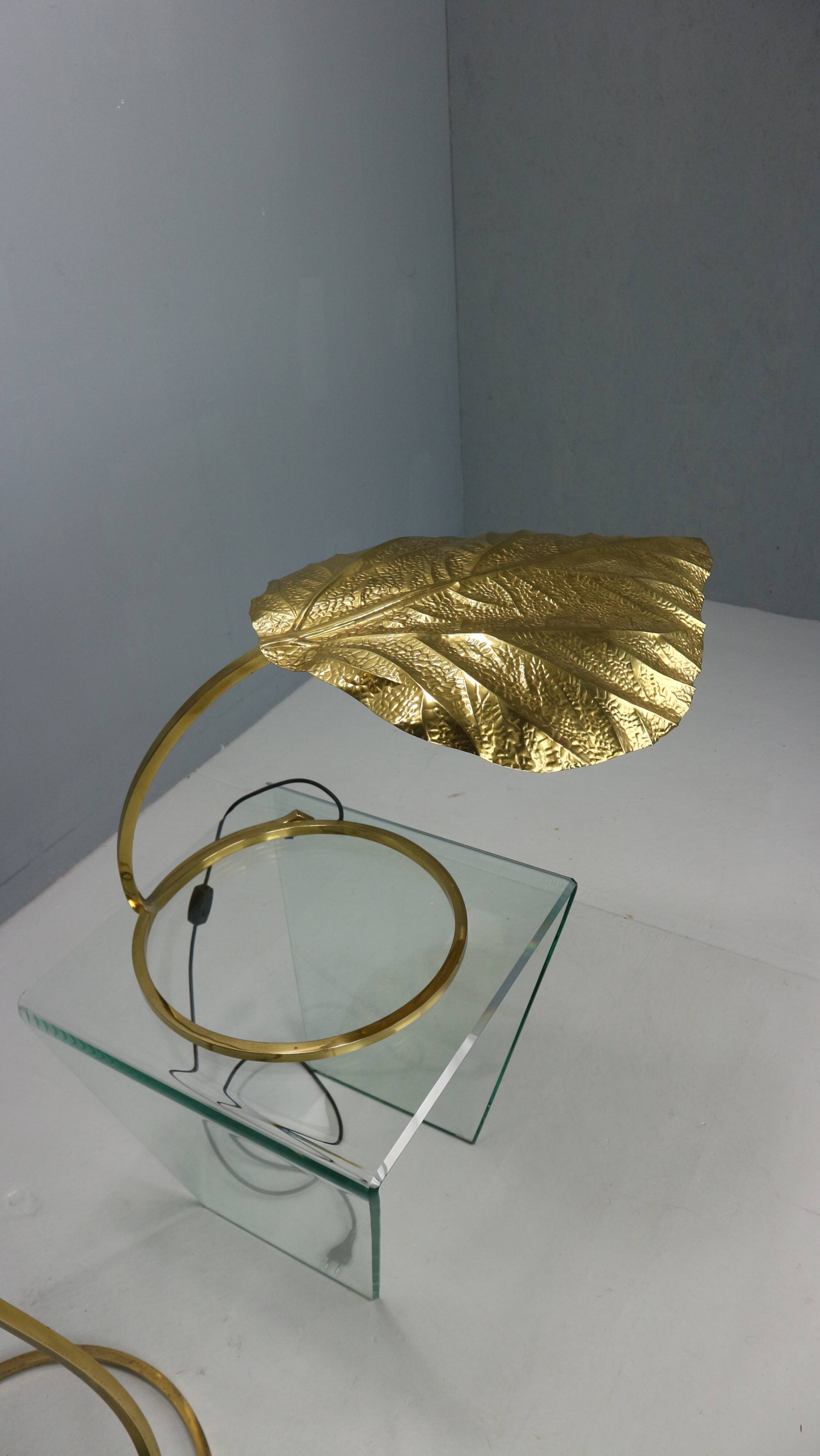 Tommaso Barbi "Rhubarb" floor and table lamp by Bottega Gadda Italy, 1970