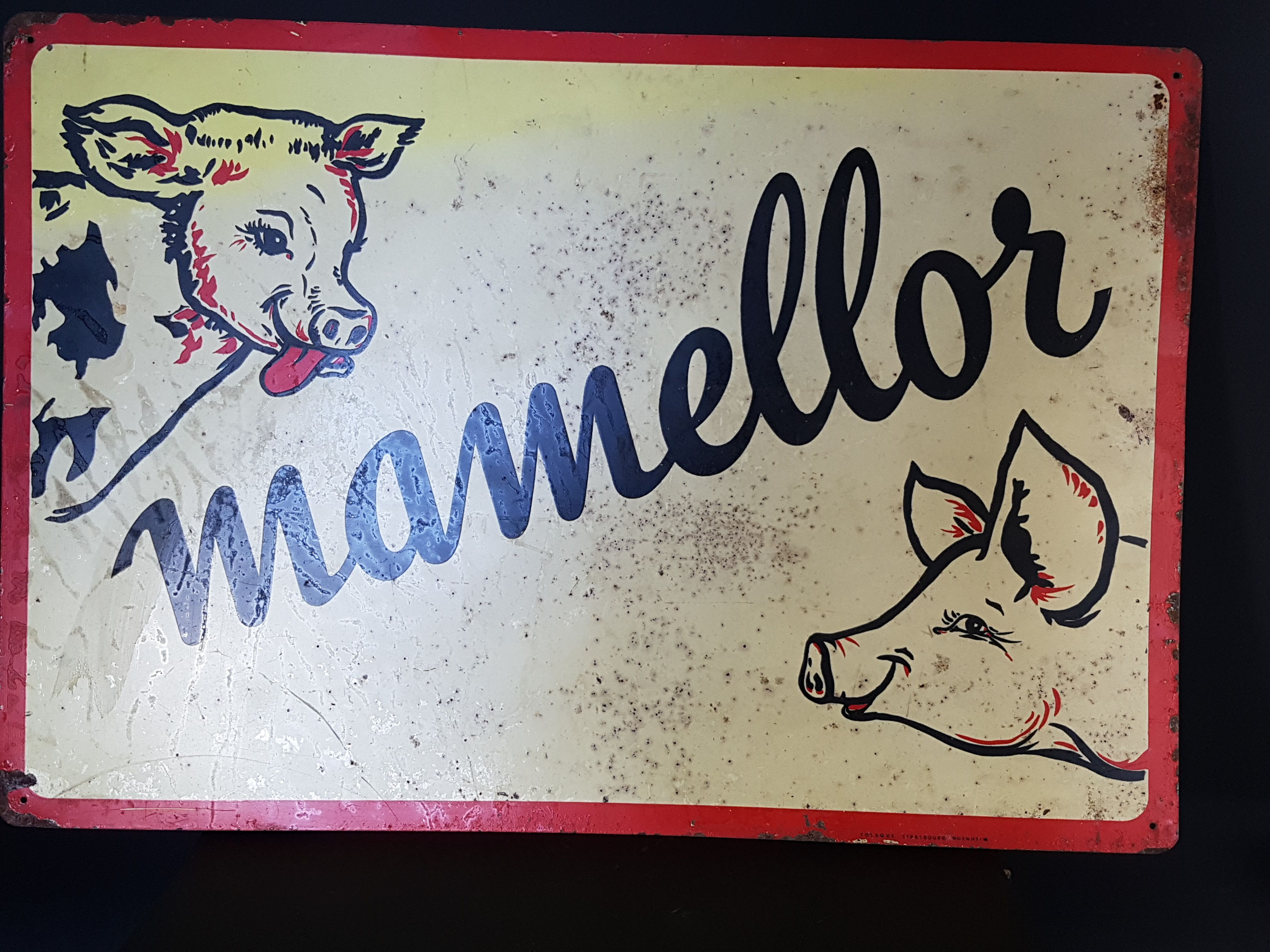 Advertising sheet cow pig mamellor 58x40 cm