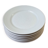 Lot de 6 assiettes en porcelaine FD chauvigny